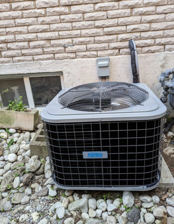 Rectangle 1244